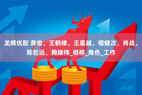 龙辉优配 龚俊、王鹤棣、王星越、檀健次、肖战、陈哲远、鞠婧祎_相柳_角色_工作