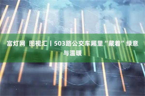 富灯网  图视汇丨503路公交车厢里“藏着”绿意与温暖