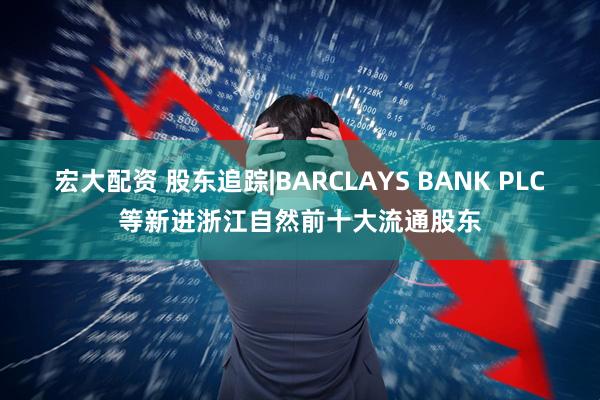 宏大配资 股东追踪|BARCLAYS BANK PLC等新进浙江自然前十大流通股东