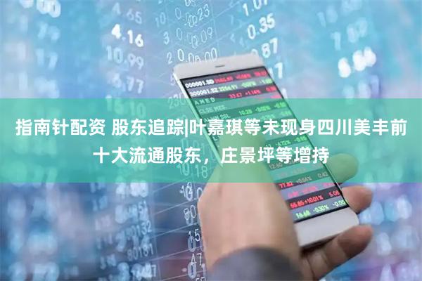 指南针配资 股东追踪|叶嘉琪等未现身四川美丰前十大流通股东，庄景坪等增持