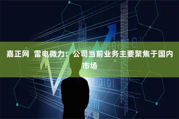 嘉正网  雷电微力：公司当前业务主要聚焦于国内市场