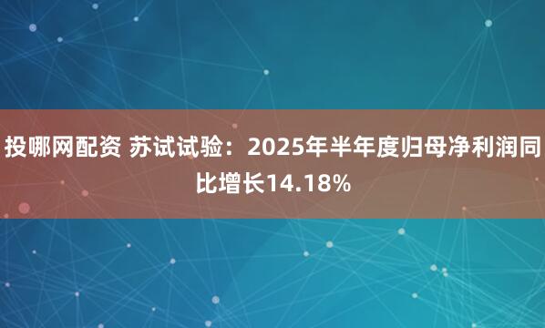 投哪网配资 苏试试验：2025年半年度归母净利润同比增长14.18%