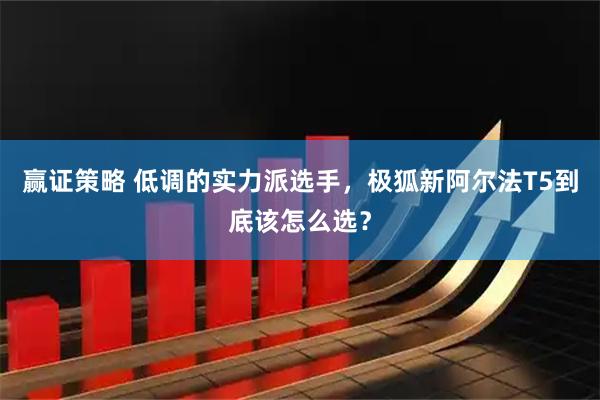 赢证策略 低调的实力派选手，极狐新阿尔法T5到底该怎么选？