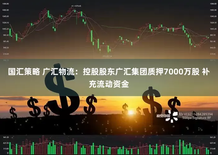 国汇策略 广汇物流：控股股东广汇集团质押7000万股 补充流动资金