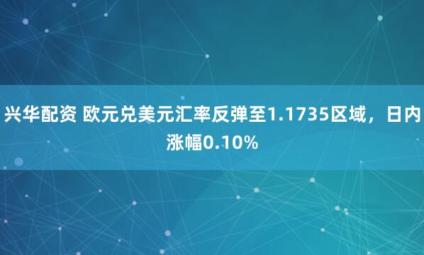 兴华配资 欧元兑美元汇率反弹至1.1735区域，日内涨幅0.10%