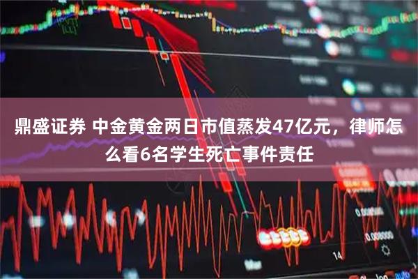 鼎盛证券 中金黄金两日市值蒸发47亿元，律师怎么看6名学生死亡事件责任